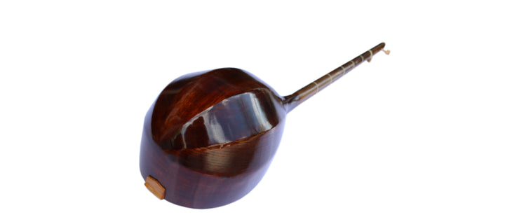 Nava Persian dotar ND-101 traditional long-neck stringed instrument