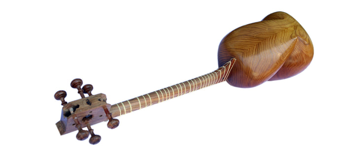Tar MPT-3L by Mokhtari traditional left-handed Persian lute
