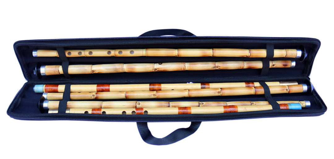 Dest ney hard case DHN-3 for stage and travel protection