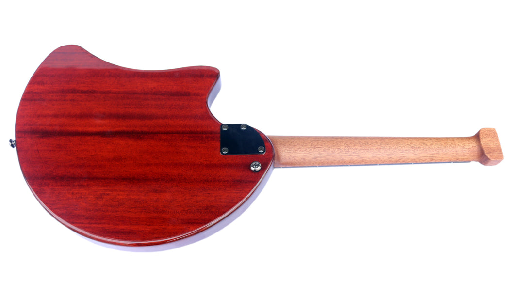 Steel-string electric oud RaksOud 4V