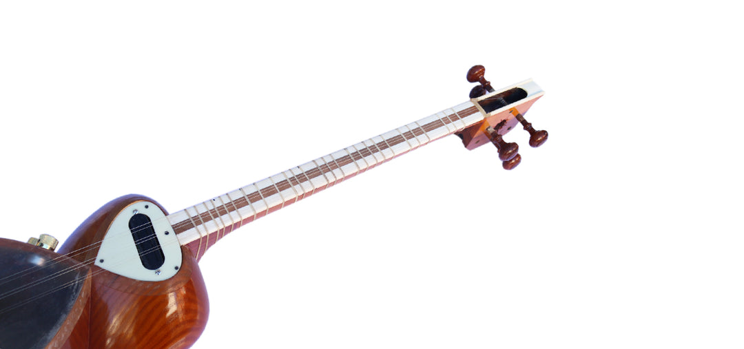 Sala Persian tar MET-4 with electric pickup mulberry body
