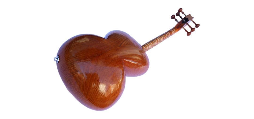 Sala Persian electric tar MET-4 handcrafted plucked instrument