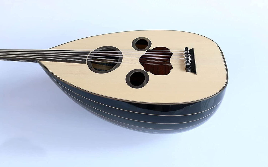 Left handed Arabic oud AAO-108L with Pyramid 650/11 strings