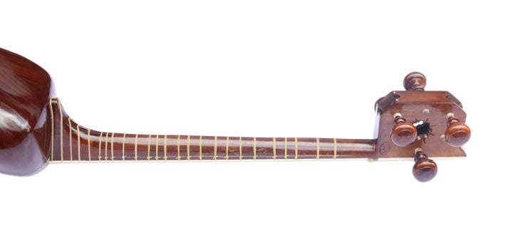 Delnavaz tar DPT-306 stringed Persian instrument mulberry soundboard