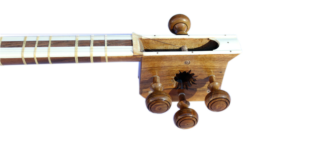 Tar DT-304 by Dariosh concert Persian long-neck lute