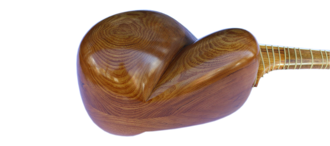 Tar DT-304 by Dariosh handcrafted Persian classical lute