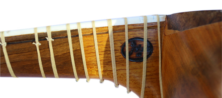 Persian tar DT-304 by Dariosh traditional plucked instrument