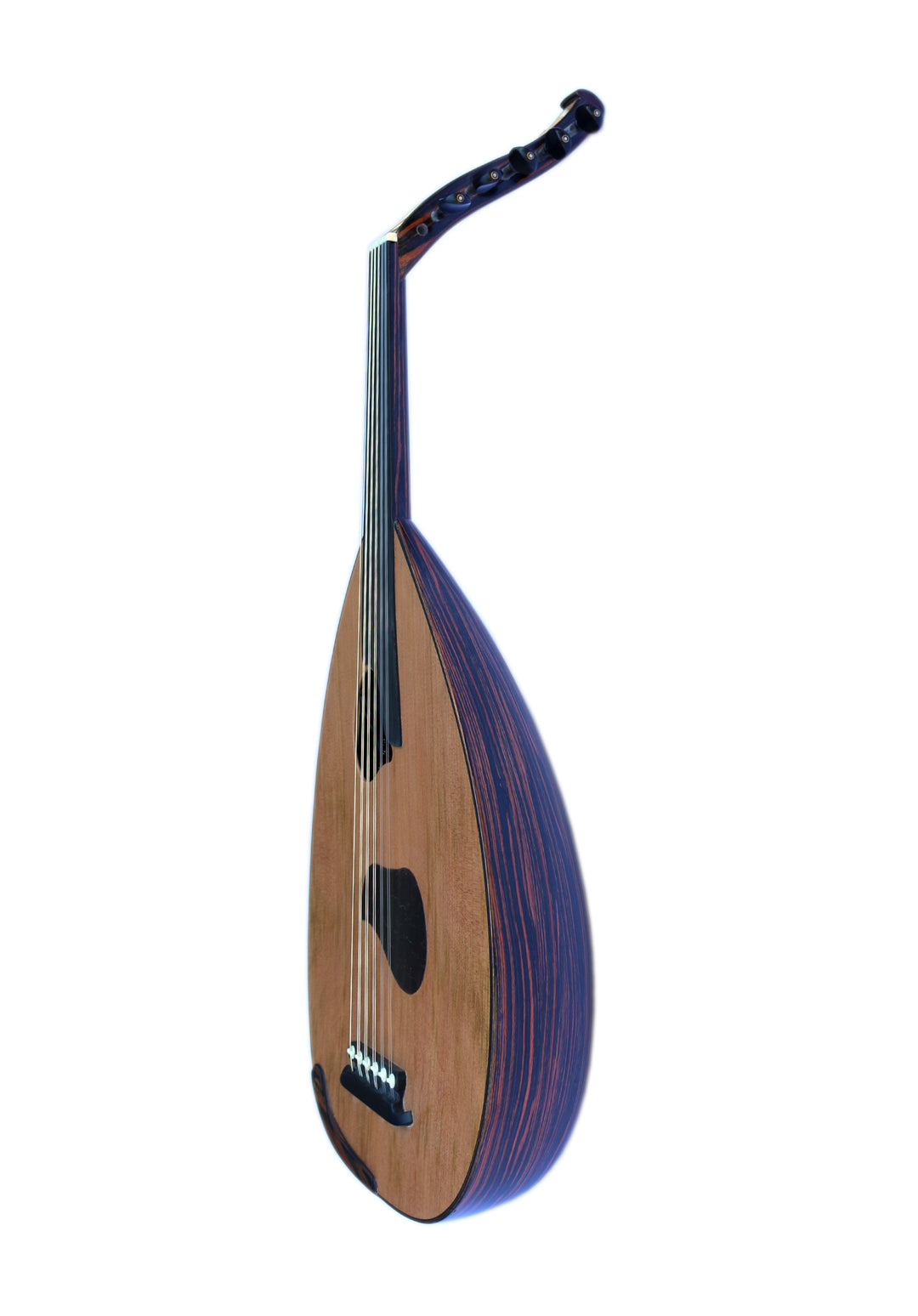 Mehmet Caymaz electric oud PROUD-5