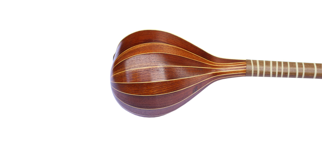 Mansur Persian setar MS-304 long-neck lute with carved details