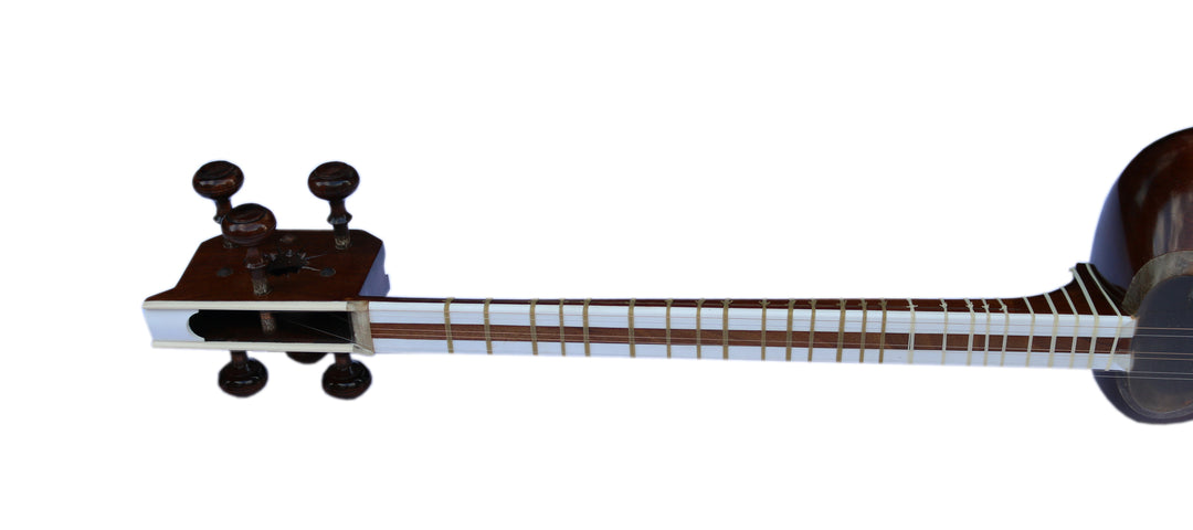 Delnavaz Persian tar DPT-3L left-handed handmade lute