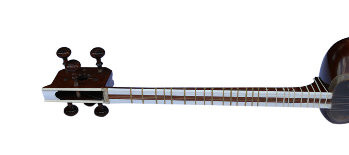 Delnavaz Persian tar DPT-3L left-handed handmade lute