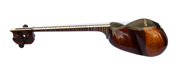 Left-handed tar DPT-3L by Delnavaz concert Persian classical lute