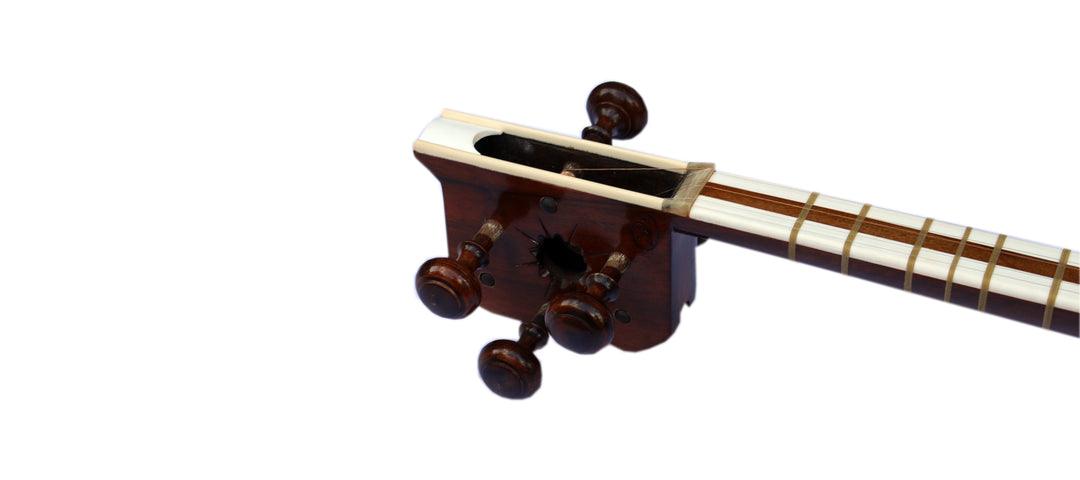 Delnavaz left-handed tar DPT-3L Persian double-bowl instrument