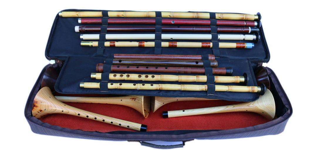 Sala woodwind travel bag SAFE-420
