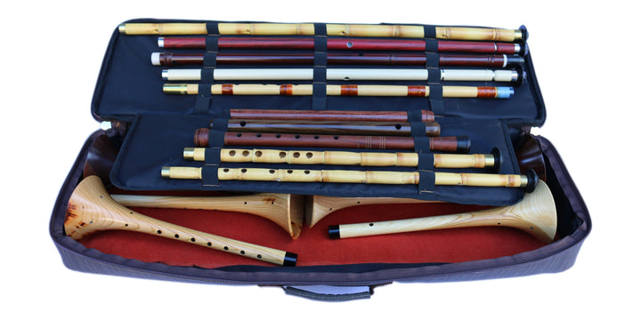 Sala woodwind travel bag SAFE-420