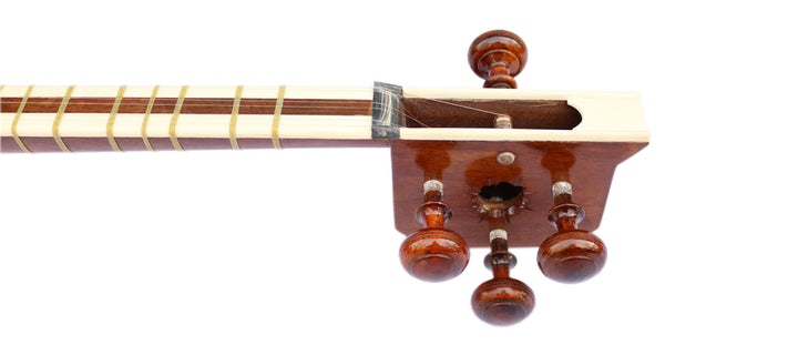 Delnavaz tar DPT-305 handmade Persian plucked instrument