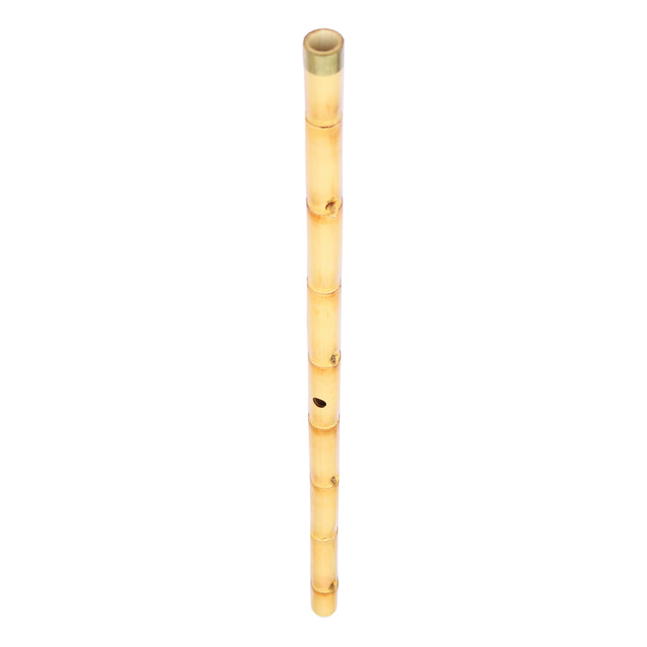 Sala Professional Arabic Ney HAP-203