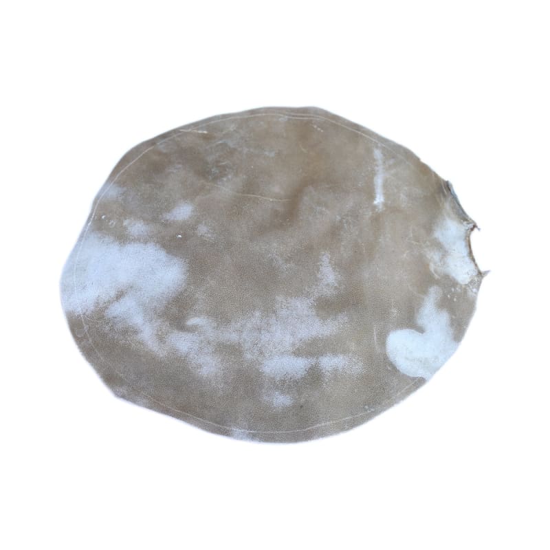 Dest camel skin head SFT-302 replacement for Persian tombak