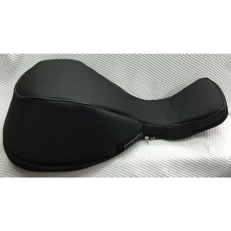 Sala Arabic oud gigbag PGO-201 with padded protection