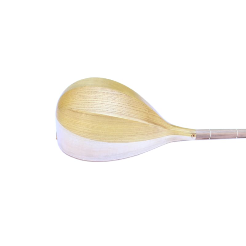 Nava ND-203 dotar handmade Persian plucked lute