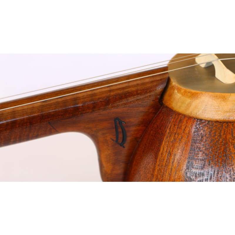 کمانچه ایرانی MHK-303 ساخت Joodaki با آرشه