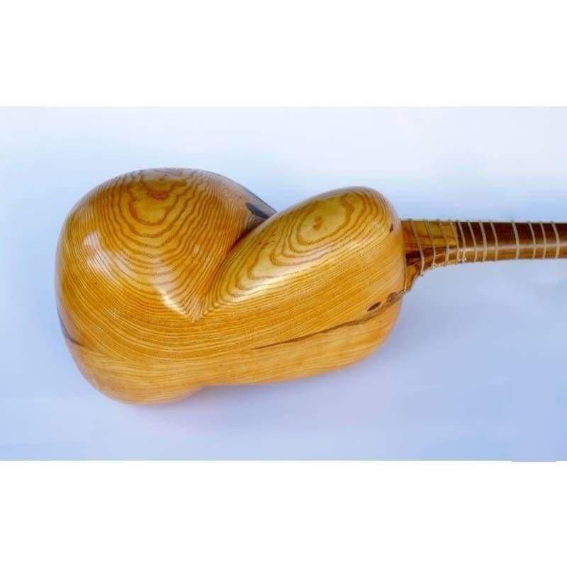 Dest tar ATT-303 telli İran tarı deve derisi kapaklı