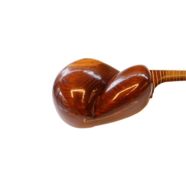 Aliyari Persian tar ABT-404 double-bowl lute carved details