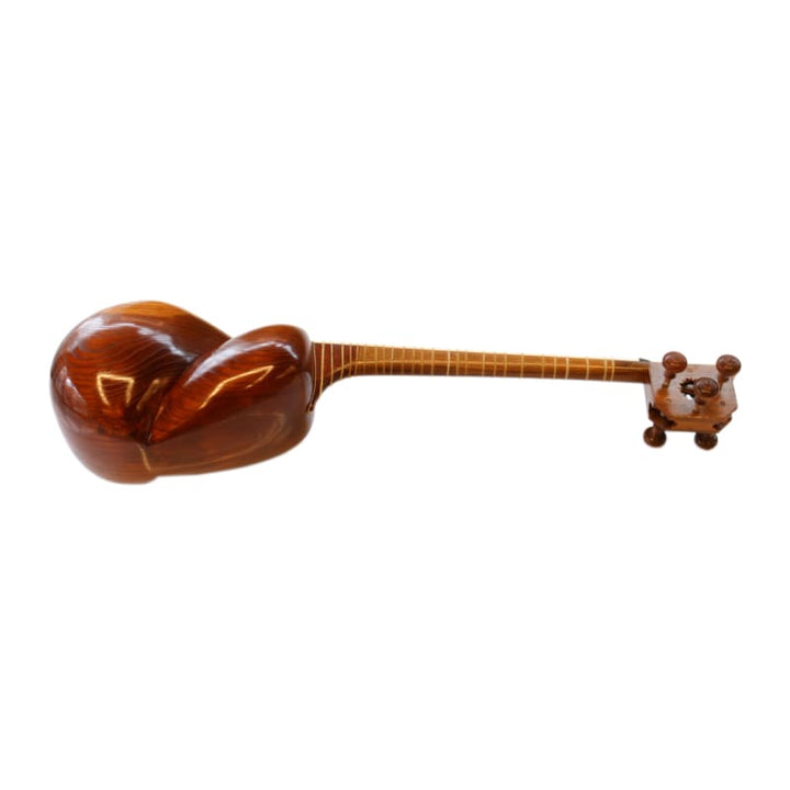 Aliyari Persian tar ABT-404 luthier instrument mulberry body