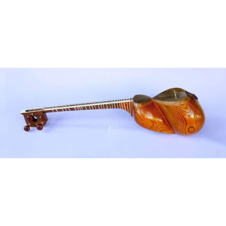 Tar AYT-307 by Molayi handmade Persian classical instrument