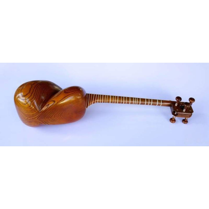 Molayi tar AYT-307 stringed Persian instrument camel skin head
