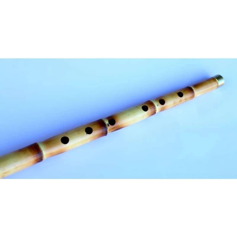 Sala Professional Turkish Ney HNP-304