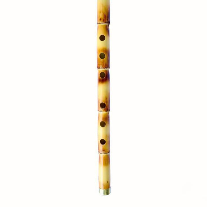 Dest Turkish ney AKN-201 handmade traditional reed flute