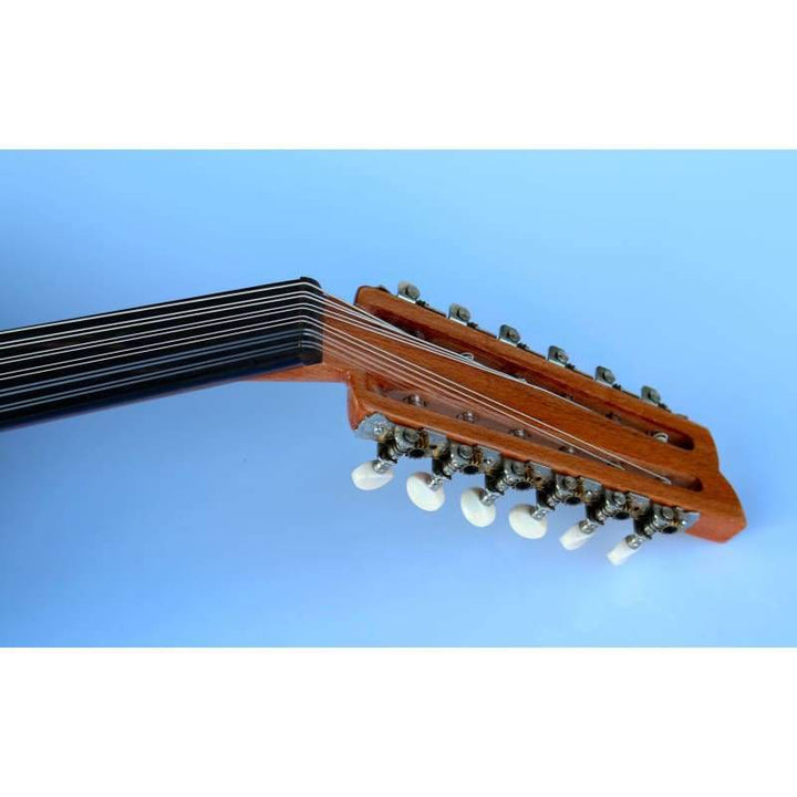 Sala Muzik Turkish Professional Electric Oud AOH-302G